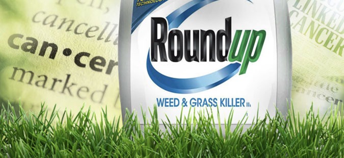 Roundup Weed killer